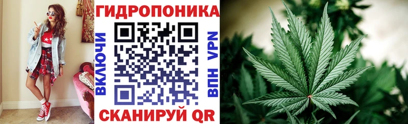 Конопля планчик ссылка на мегу ONION Байкальск